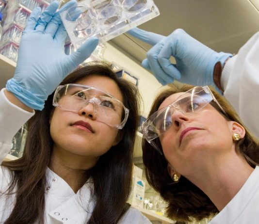 Universities need to promote more women to professor