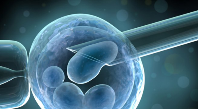 Revolutionizing Design: Engineered Nanoparticles for Enhanced Immune Responses