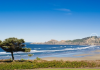 Lincoln City, Oregon: Your Ultimate Coastal Getaway